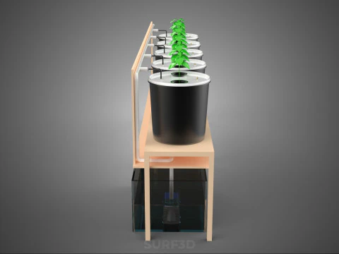 CRESCIMENTO HIDROP&Ocirc;NICO PLANTAS AGRICULTURA BALDE HOLAND&Ecirc;S SISTEMA BATO JARDIM Modelo 3D