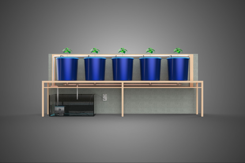 自动定时器营养水培植物桶 DUTCH BATO 系统 3D 模型 .c4d .max .obj .3ds .fbx .stl .blend 