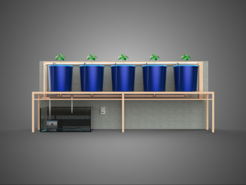 AUTO TIMER NUTRIËNTEN HYDROPONIC PLANTEN EMMER NEDERLANDS BATO SYSTEEM 3D Model