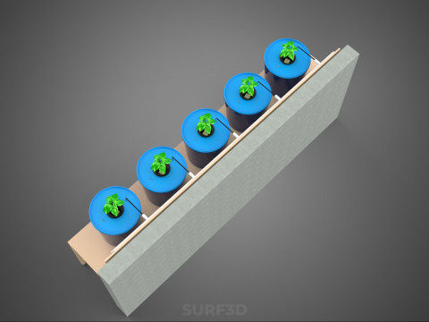 自动定时器营养水培植物桶 DUTCH BATO 系统 3D 模型