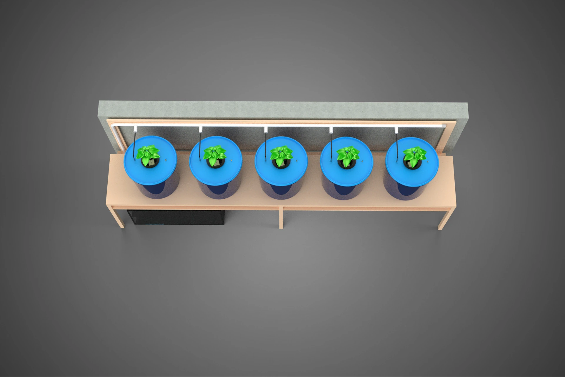 5 POT HYDROPONIC BATO BUCKET GROW RACK PLANT BENCH FEED STATION 3D Model .c4d .max .obj .3ds .fbx .stl .blend 