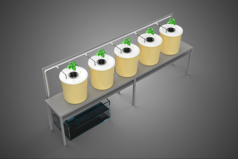 荷兰桶系统 5 罐循环水培装置 3D 模型 .c4d .max .obj .3ds .fbx .stl .blend 