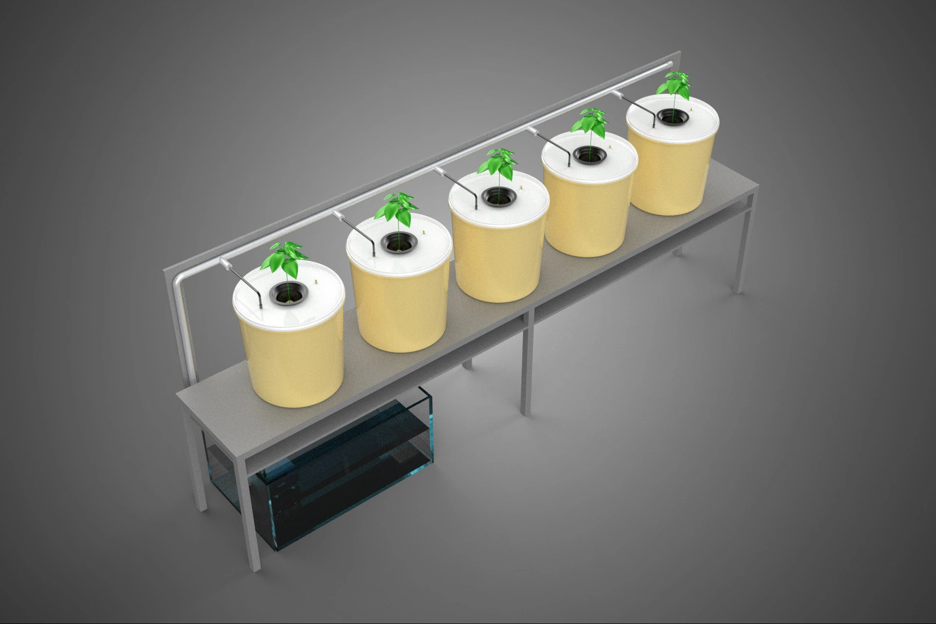 DUTCH BUCKET SYSTEM 5 POT RECIRCULATING HYDROPONICS SETUP PLANT 3D Model .c4d .max .obj .3ds .fbx .stl .blend 