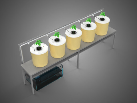 더치 버킷 시스템 5 포트 재순환 수경재배 설치 플랜트 3D 모델