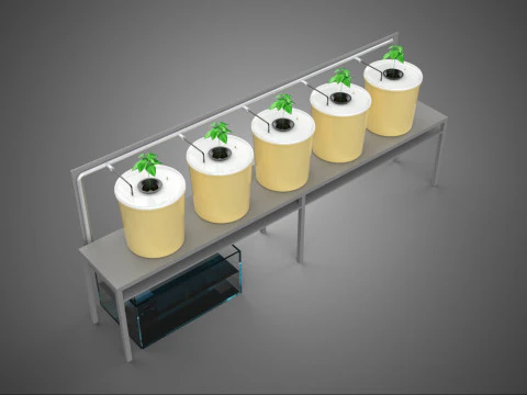 IMPIANTO IDROPONICO A RICIRCOLO CON SISTEMA A BENNA OLANDESE Modello 3D