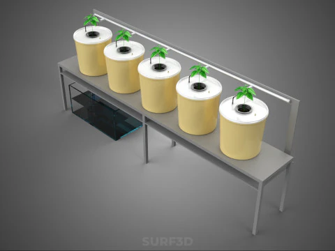 DUTCH BUCKET SYSTEM 5 POT RECIRCULATING HYDROPONICS SETUP PLANT 3D Model