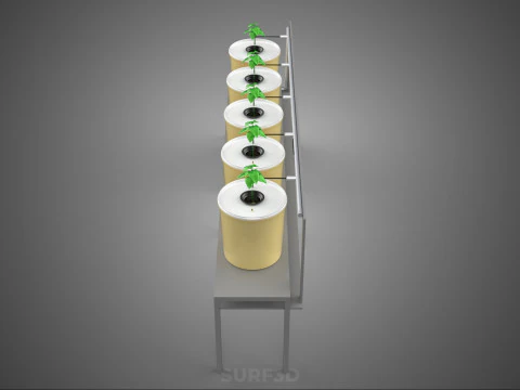 DUTCH BUCKET SYSTEM 5 POT RECIRCULATING HYDROPONICS SETUP PLANT 3D Model