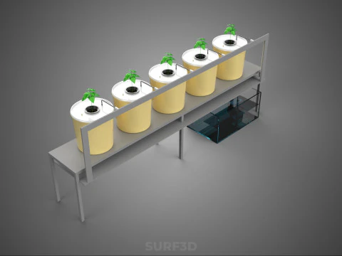 DUTCH BUCKET SYSTEM 5 POT RECIRCULATING HYDROPONICS SETUP PLANT 3D Model