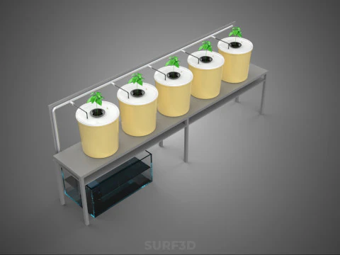 DUTCH BUCKET SYSTEM 5 POT RECIRCULATING HYDROPONICS SETUP PLANT 3D Model