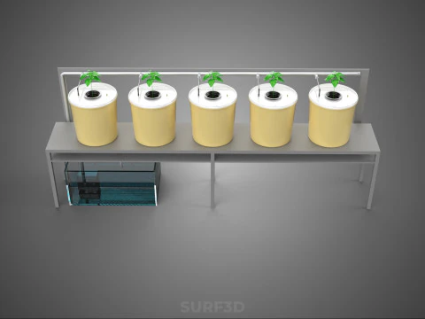 DUTCH BUCKET SYSTEM 5 POT RECIRCULATING HYDROPONICS SETUP PLANT 3D Model