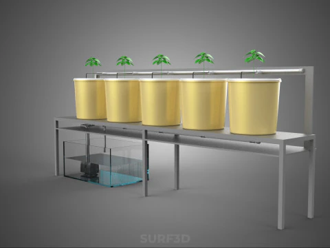 DUTCH BUCKET SYSTEM 5 POT RECIRCULATING HYDROPONICS SETUP PLANT 3D Model