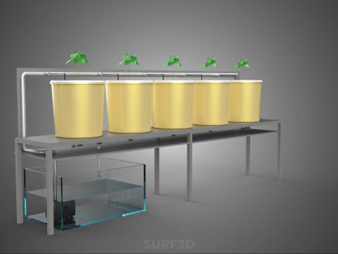 DUTCH BUCKET SYSTEM 5 POT RECIRCULATING HYDROPONICS SETUP PLANT 3D Model