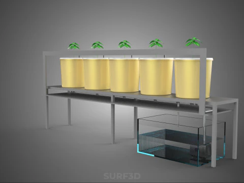 DUTCH BUCKET SYSTEM 5 POT RECIRCULATING HYDROPONICS SETUP PLANT 3D Model