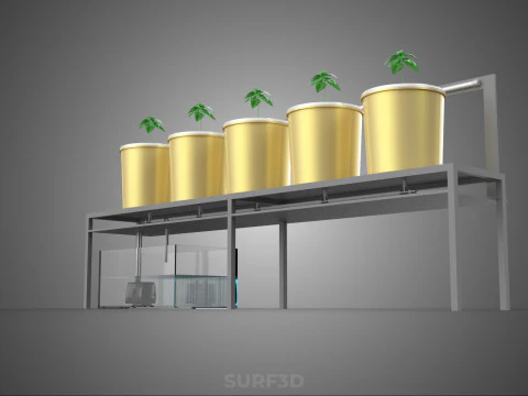 DUTCH BUCKET SYSTEM 5 POT RECIRCULATING HYDROPONICS SETUP PLANT 3D Model