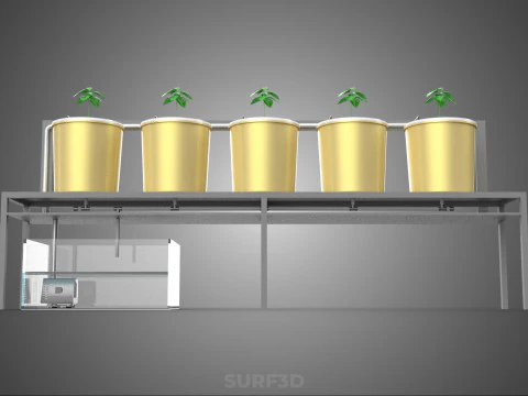 DUTCH BUCKET SYSTEM 5 POT RECIRCULATING HYDROPONICS SETUP PLANT 3D Model