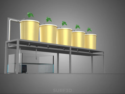 DUTCH BUCKET SYSTEM 5 POT RECIRCULATING HYDROPONICS SETUP PLANT 3D Model
