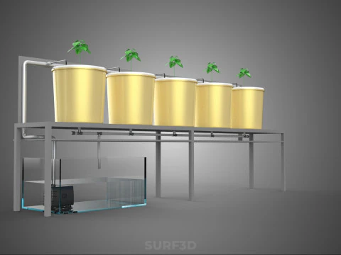DUTCH BUCKET SYSTEM 5 POT RECIRCULATING HYDROPONICS SETUP PLANT 3D Model