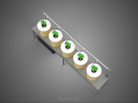 荷兰桶系统 5 罐循环水培装置 3D 模型