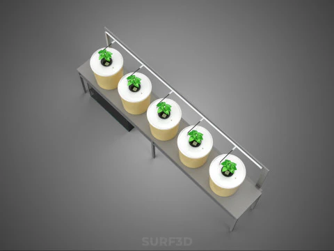 DUTCH BUCKET SYSTEM 5 POT RECIRCULATING HYDROPONICS SETUP PLANT 3D Model