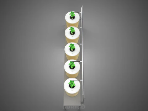 DUTCH BUCKET SYSTEM 5 POT RECIRCULATING HYDROPONICS SETUP PLANT 3D Model