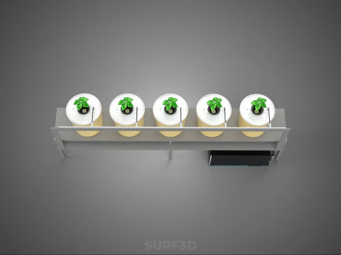 DUTCH BUCKET SYSTEM 5 POT RECIRCULATING HYDROPONICS SETUP PLANT 3D Model