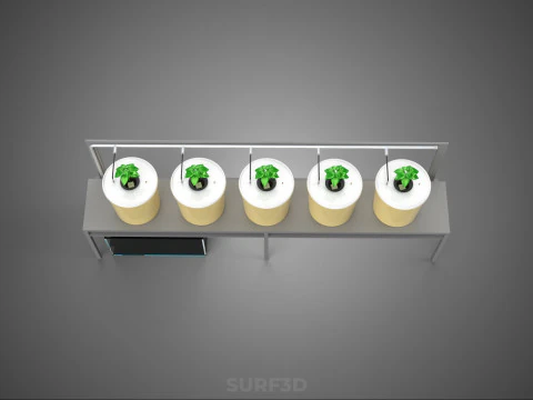 DUTCH BUCKET SYSTEM 5 POT RECIRCULATING HYDROPONICS SETUP PLANT 3D Model