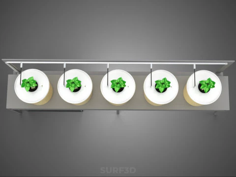 DUTCH BUCKET SYSTEM 5 POT RECIRCULATING HYDROPONICS SETUP PLANT 3D Model