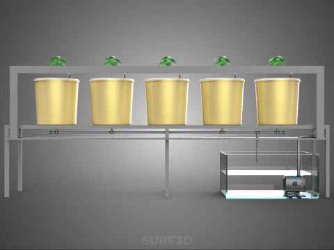 DUTCH BUCKET SYSTEM 5 POT RECIRCULATING HYDROPONICS SETUP PLANT 3D Model