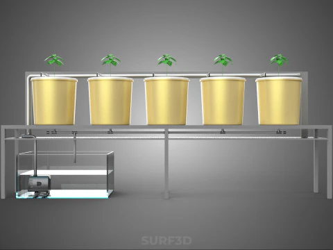 DUTCH BUCKET SYSTEM 5 POT RECIRCULATING HYDROPONICS SETUP PLANT 3D Model
