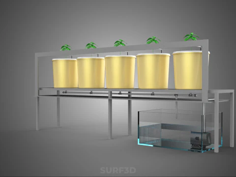 DUTCH BUCKET SYSTEM 5 POT RECIRCULATING HYDROPONICS SETUP PLANT 3D Model