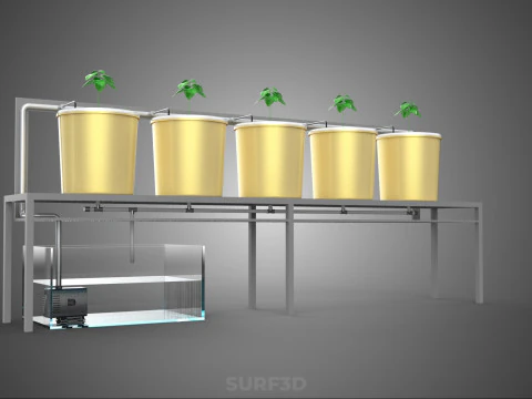 DUTCH BUCKET SYSTEM 5 POT RECIRCULATING HYDROPONICS SETUP PLANT 3D Model