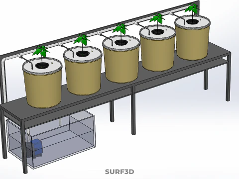 DUTCH BUCKET SYSTEM 5 POT RECIRCULATING HYDROPONICS SETUP PLANT 3D Model