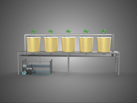 खेती फल सब्जियां पौधे हाइड्रोपोनिक खेती बागवानी 3D मॉडल