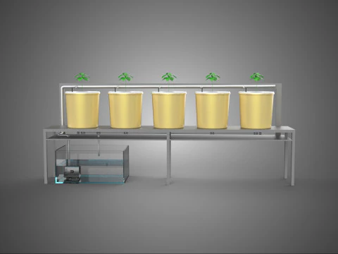 재배 과일 야채 식물 수경재배 원예 3D 모델