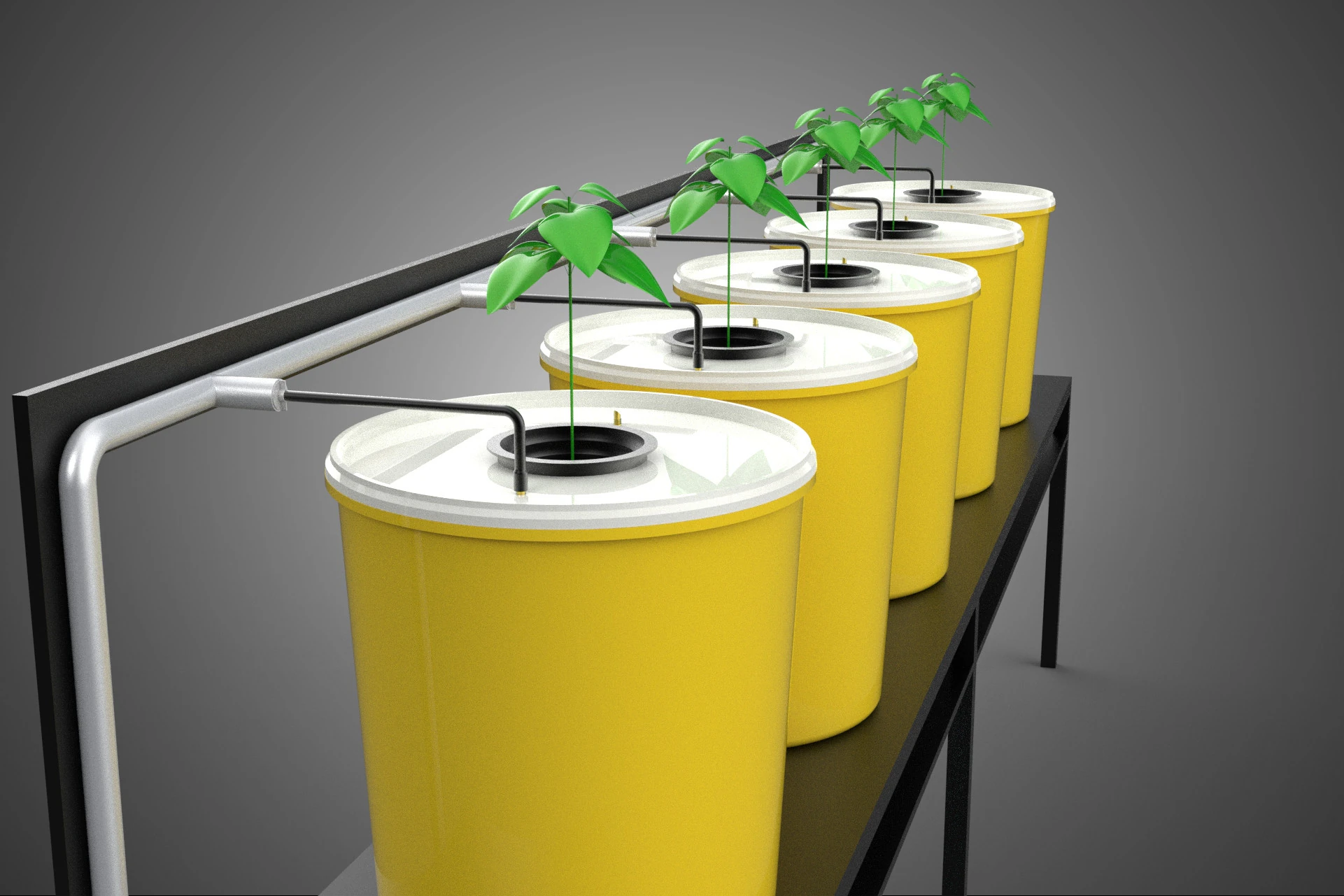 INDOOR HYDROPONIC SEEDLING PLANT PROPAGATION SYSTEM BATO FARM 3D Model .c4d .max .obj .3ds .fbx .stl .blend 