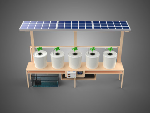 COMPACT HYDROPONIC BATO DUTCH BUCKET SYSTEM POWERED SOLAR PANEL 3D Model