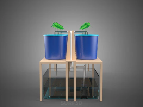 10ポットバトー方式ダッチバケットシステム ハイドロカルチャープラントステーション 3Dモデル