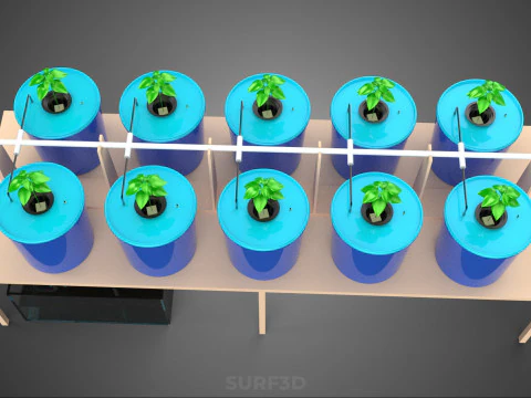 10ポットバトー方式ダッチバケットシステム ハイドロカルチャープラントステーション 3Dモデル