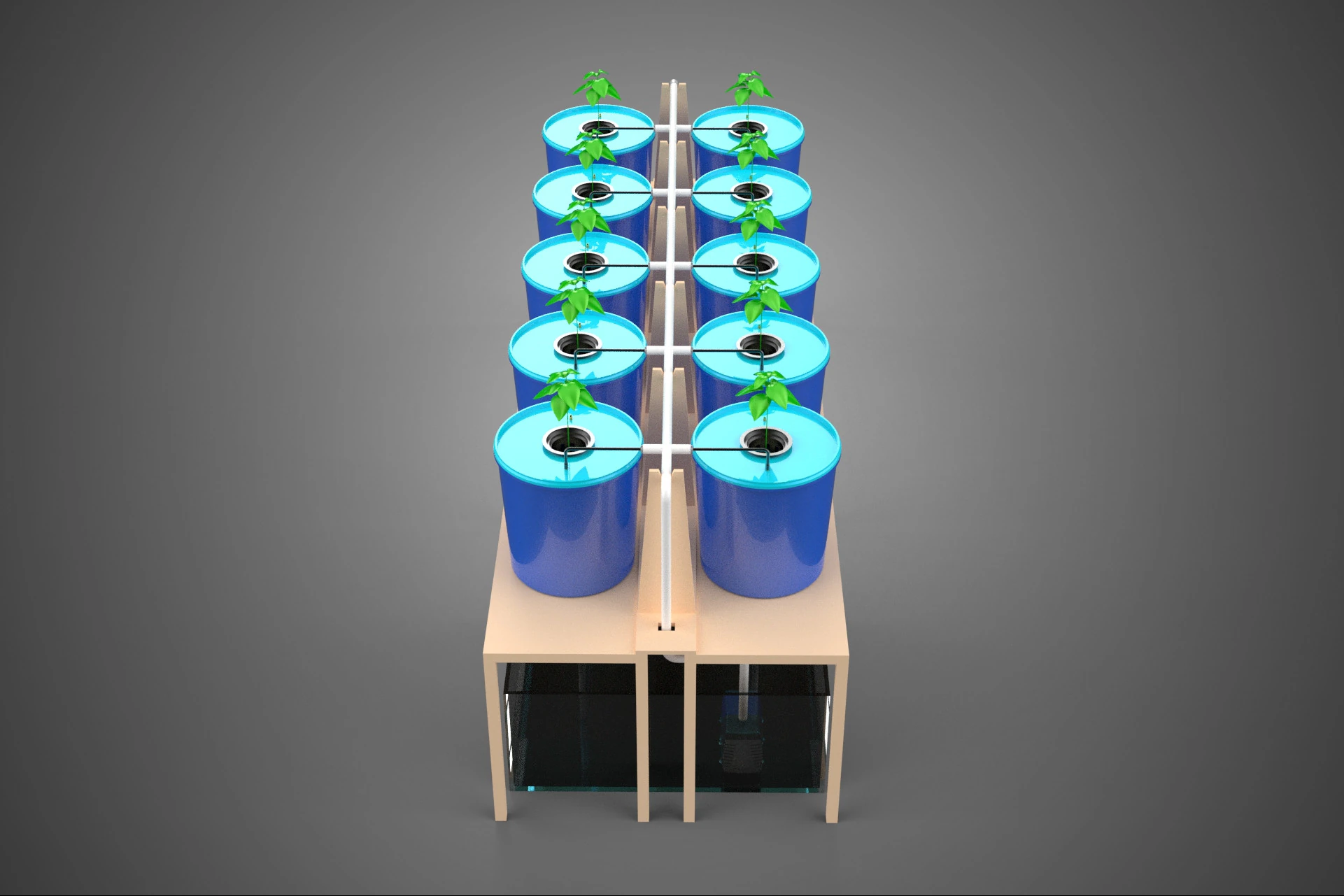 DBS DUTCH BUCKET SYSTEM BATO HYDROPONIC PLANT CULTIVATION GARDEN 3D Model .c4d .max .obj .3ds .fbx .stl .blend 