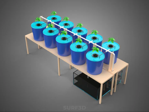 DBS DUTCH BUCKET SYSTEM BATO HYDROPONIC PLANT CULTIVATION GARDEN 3D Model