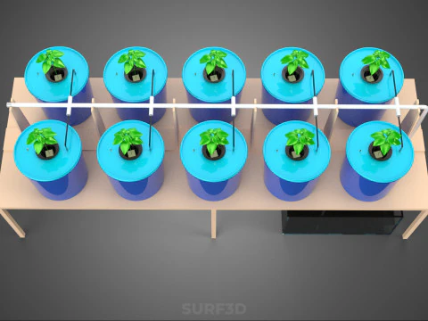 DBS DUTCH BUCKET SYSTEM BATO HYDROPONIC PLANT CULTIVATION GARDEN 3D Model