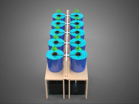 DBS DUTCH BUCKET SYSTEM BATO HYDROPONIC PLANT CULTIVATION GARDEN 3D Model