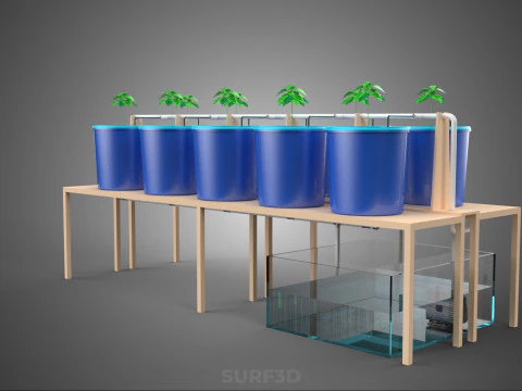 DBS DUTCH BUCKET SYSTEM BATO HYDROPONIC PLANT CULTIVATION GARDEN 3D Model
