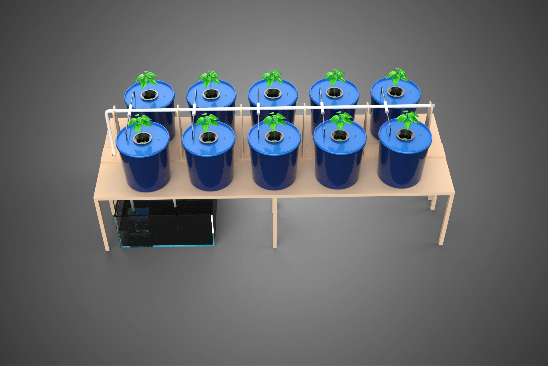 DIY GREENHOUSE BATO DUTCH BUCKET HYDROPONIC SYSTEM PLANT ARRAY 3D Model .c4d .max .obj .3ds .fbx .stl .blend 