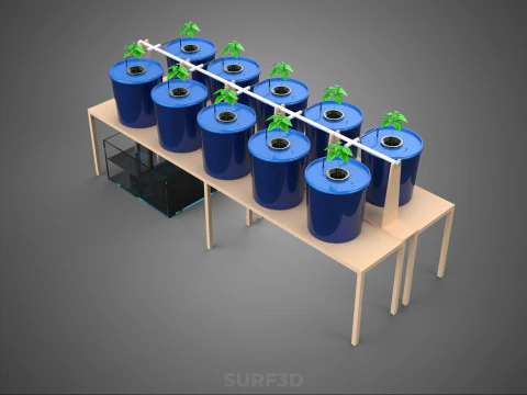DIY GREENHOUSE BATO DUTCH BUCKET HYDROPONIC SYSTEM PLANT ARRAY 3D Model