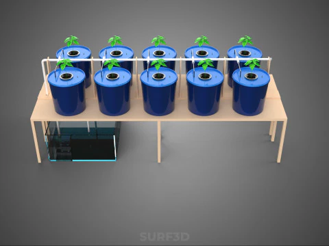 DIY GREENHOUSE BATO DUTCH BUCKET HYDROPONIC SYSTEM PLANT ARRAY 3D Model