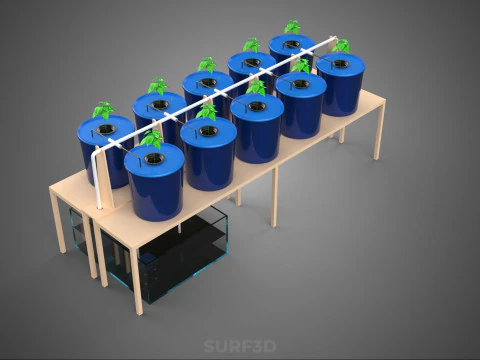 DIY GREENHOUSE BATO DUTCH BUCKET HYDROPONIC SYSTEM PLANT ARRAY 3D Model