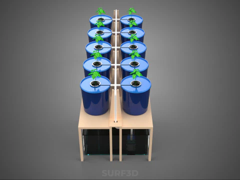 DIY GREENHOUSE BATO DUTCH BUCKET HYDROPONIC SYSTEM PLANT ARRAY 3D Model
