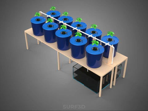 DIY GREENHOUSE BATO DUTCH BUCKET HYDROPONIC SYSTEM PLANT ARRAY 3D Model