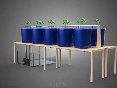 DIY GREENHOUSE BATO DUTCH BUCKET HYDROPONIC SYSTEM PLANT ARRAY 3D Model